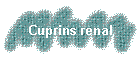 Cuprins renal