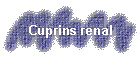 Cuprins renal